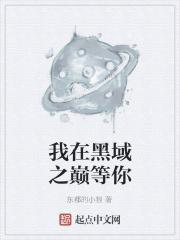 我在黑暗里等你