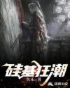 硅基狂潮结局 硅基狂潮结局