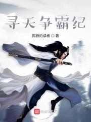 寻天秘记 寻天秘记