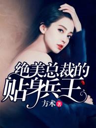 绝美总裁的贴身兵王叶沉梵天著