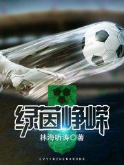绿茵峥嵘txt 绿茵峥嵘txt