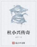 杜小莘的简介