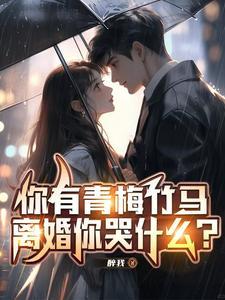 妻子出差引出惊天是什么电视剧