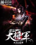 少年大将军多少女人 少年大将军多少女人