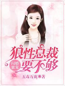 狼性总裁宠妻上瘾