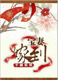 宝妻嫁到讲的什么 宝妻嫁到讲的什么