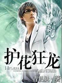 护花狂龙好看吗 护花狂龙好看吗