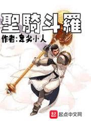 斗罗大陆之圣骑士 斗罗大陆之圣骑士
