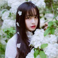 为你开一扇窗前面一句是什么歌