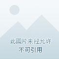 我在游戏里造航母