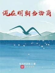 混在明朝当海商 混在明朝当海商