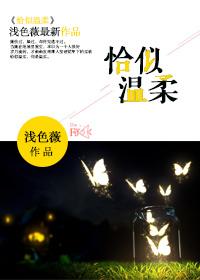 恰似温柔 恰似温柔